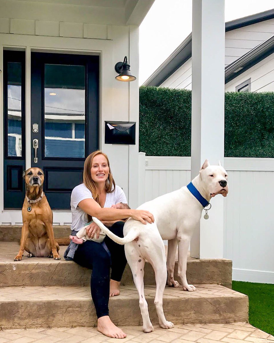 water float for dogs