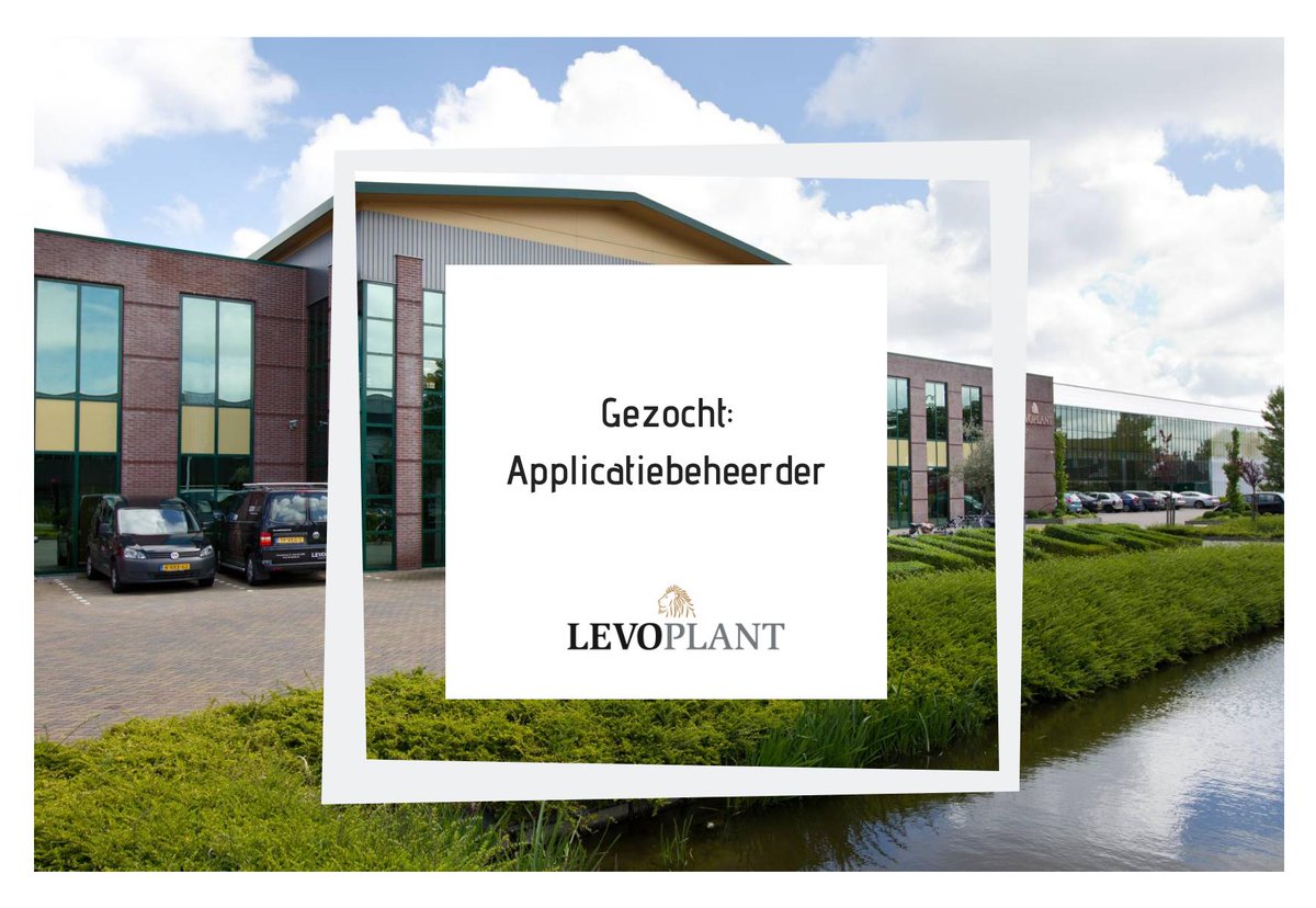 Levoplant tweet media