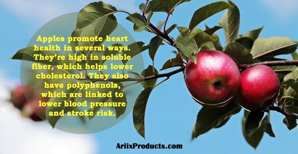 An apple a day, keeps the doctor away.

#breakfast #healthybody #weightloss #loseweightfast #livelifetothefullest #healthiswealth #takecareofyourself #ariixproducts #slenderiiz #puritiiwaterbottle #diet #quotes #quotestoliveby #apple