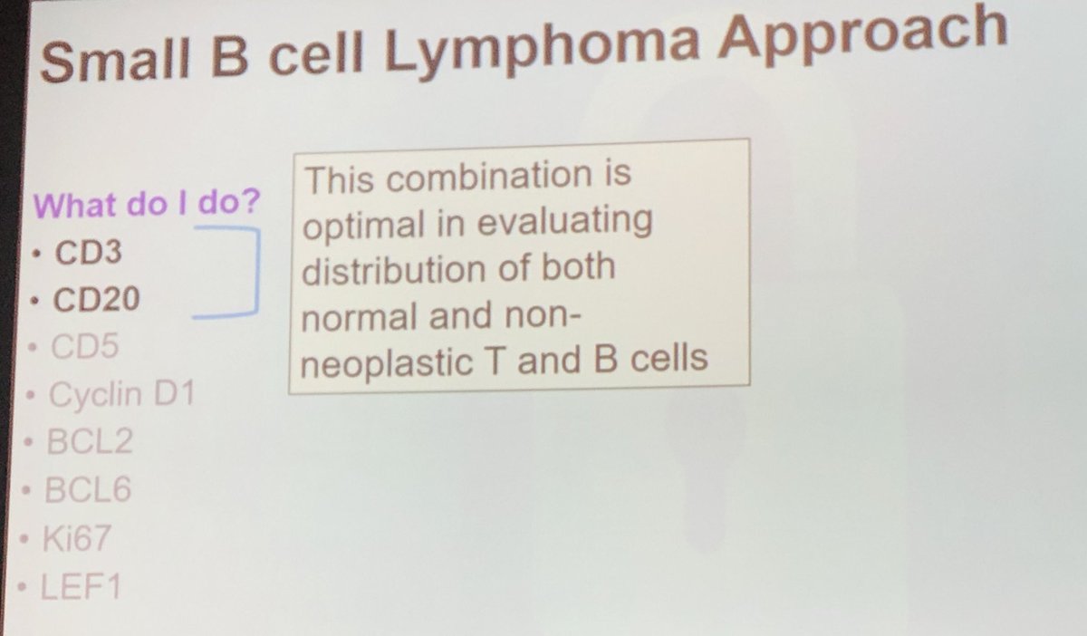 a general IHC approach to lymphomas