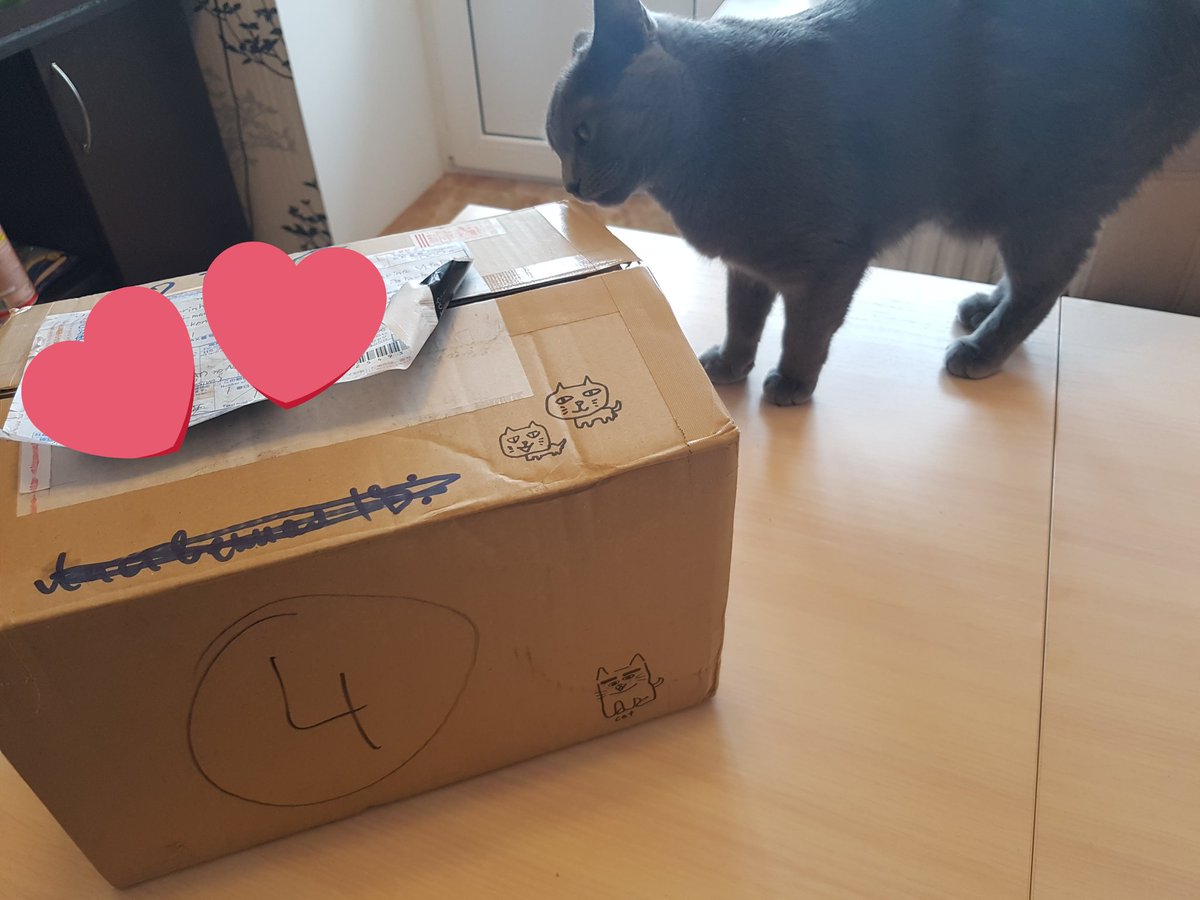 false_goddess's tweet photo. Today i receive a gift from great @monobya! This is so fabulous and so cute gift >w< I love everything - so so magic cat-lover box!! https://t.co/MucPozXyUp