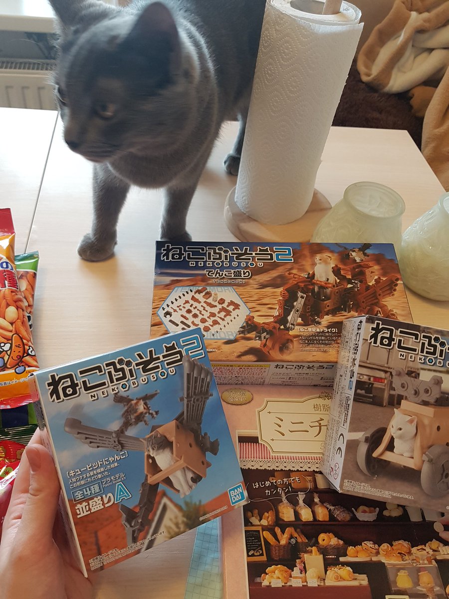 false_goddess's tweet photo. In this magic cardboard we can see...A PIECE OF JAPAN! Corn snacks, mini cooking journal, cat postcards and huge robots!! Im so so so happy!! https://t.co/PthjoFD4NF
