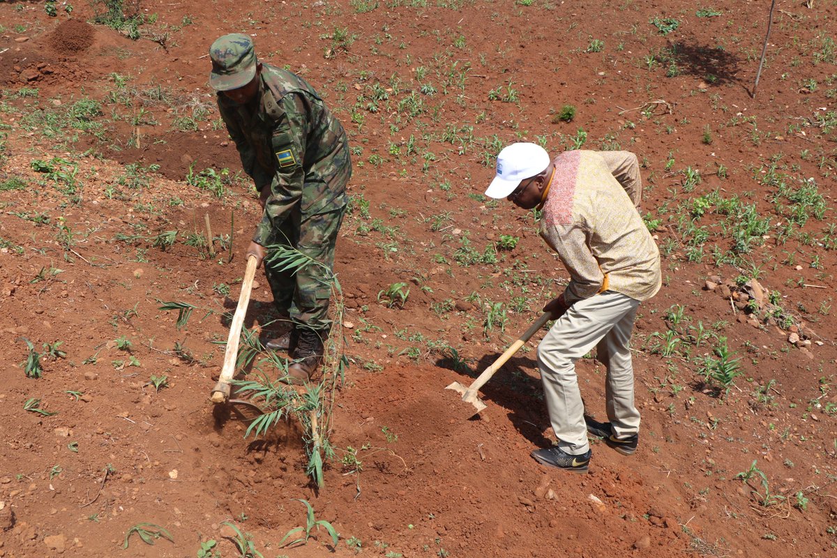 RwandaWater's tweet photo. DG/RWFA , Prime Ngabonziza, with partners including Reserve Force, @EnabelinRwanda and @SPENNapp powered by @imbankrw during today community work of planting bamboos on Rebero mountain while celebrating 'World Forests Day.'
#ForestsAndEducation https://t.co/73QHpIzPSc