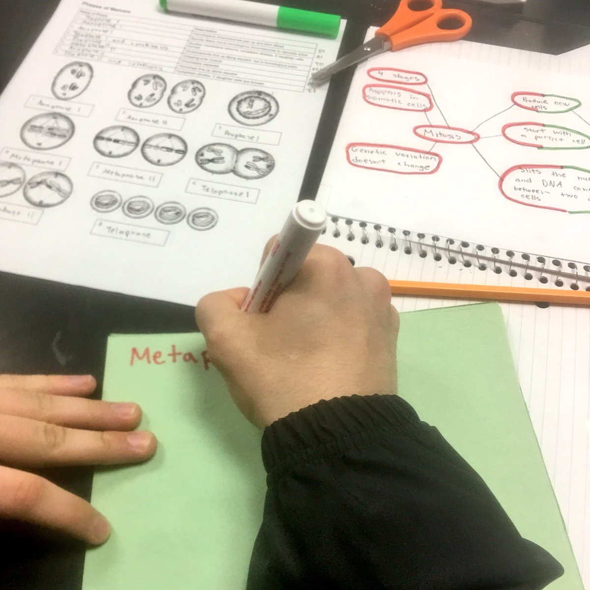 mbhs_earle's tweet photo. AVID strategies on high in Biology today! #BioOrBust #Meiosis #AVID #BlairScience @Blair_Science https://t.co/LODl7Qzmvz