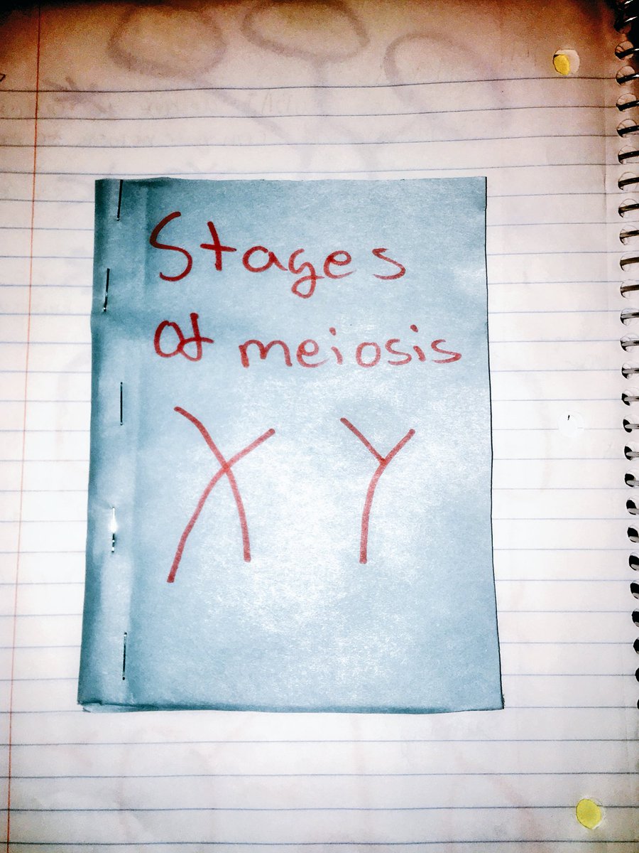 mbhs_earle's tweet photo. AVID strategies on high in Biology today! #BioOrBust #Meiosis #AVID #BlairScience @Blair_Science https://t.co/LODl7Qzmvz