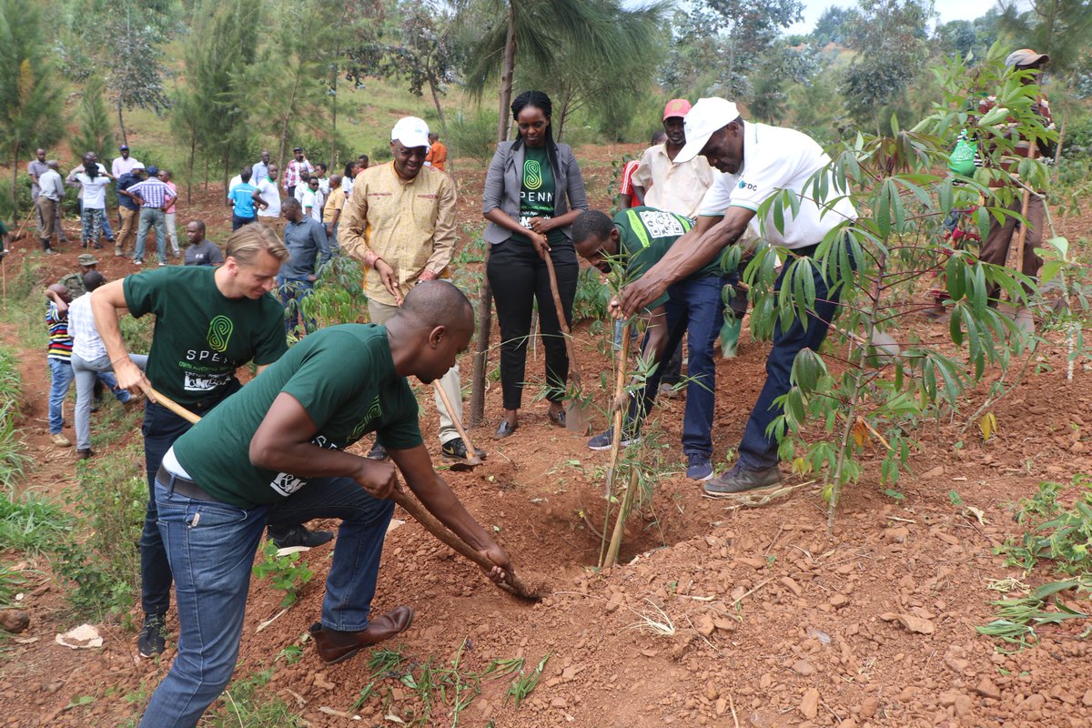 RwandaWater's tweet photo. DG/RWFA , Prime Ngabonziza, with partners including Reserve Force, @EnabelinRwanda and @SPENNapp powered by @imbankrw during today community work of planting bamboos on Rebero mountain while celebrating 'World Forests Day.'
#ForestsAndEducation https://t.co/73QHpIzPSc