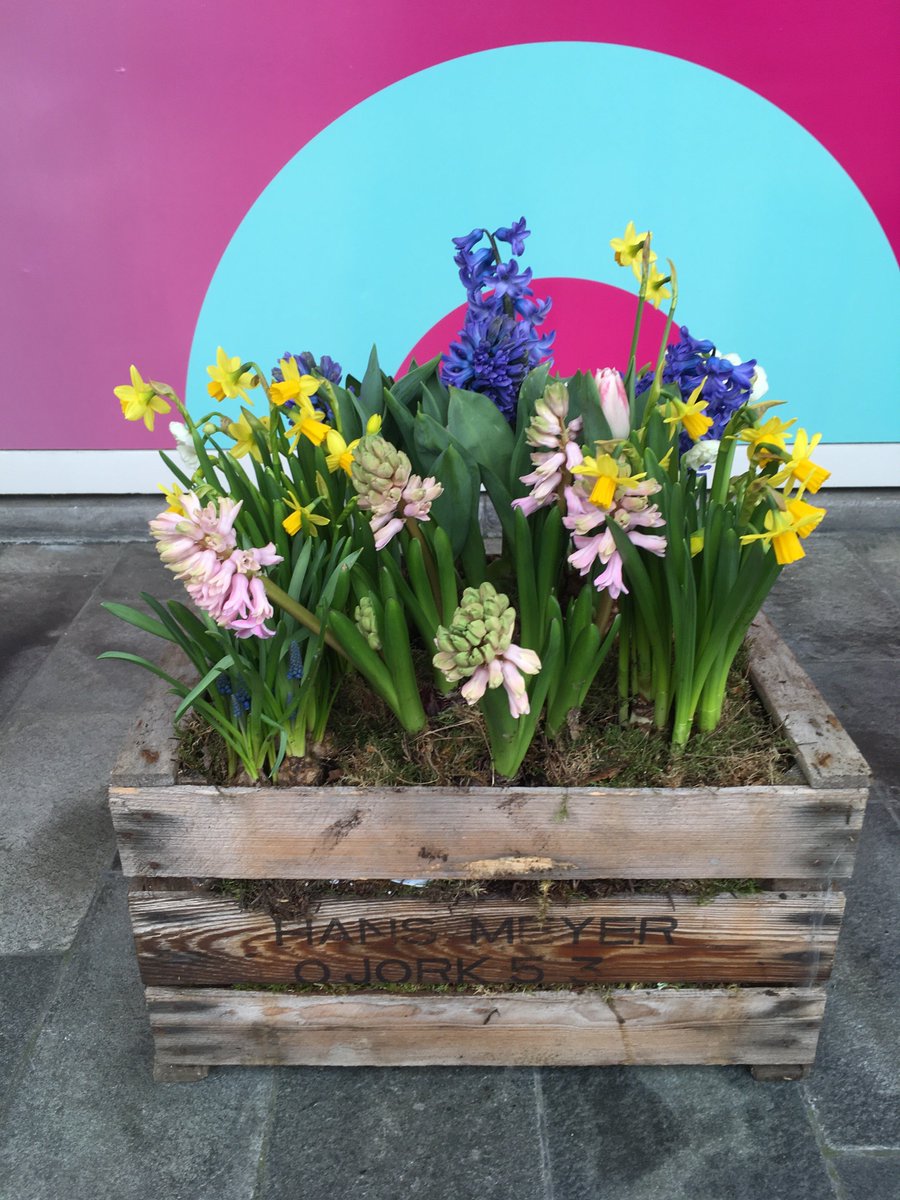 HCOactiviteiten's tweet photo. Klaar voor ons lentefestival! De eerste festivalbezoekers komen nu binnen. Heerlijk die geur van lentebloemen... https://t.co/wATFTCnHGh
