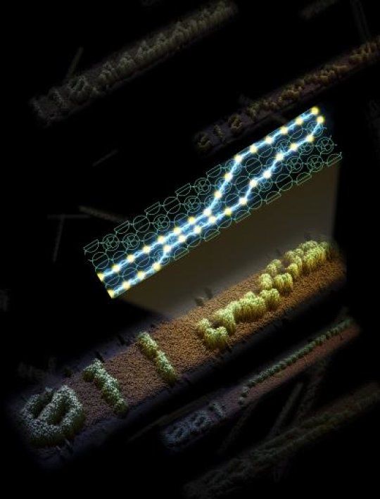 talius's tweet photo. Computer scientists Create #Reprogrammable #Molecular #Computing System

Computer design meets potions class: A little of vial 1 and a little of vial 2 yield six-bit computations encoded in #DNA.  https://t.co/7n2ijjNVTJ https://t.co/MWoZQjj0sJ