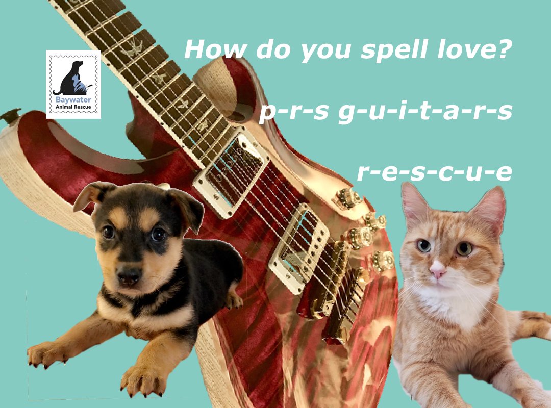 BaywaterAnimal's tweet photo. Your dream guitar! Tax-deductible auction. New PRS guitar! Fundraiser no-kill shelter. https://t.co/E4XkT5EdD4
#electric guitar #prs #paulreedsmith #animalrescue #prsguitars #prsguitar #prsmccarty #paulreedsmith #chucklevins #paulsguitar @prsguitars #savethemall #adopt #guitar https://t.co/G84z4tXaqb