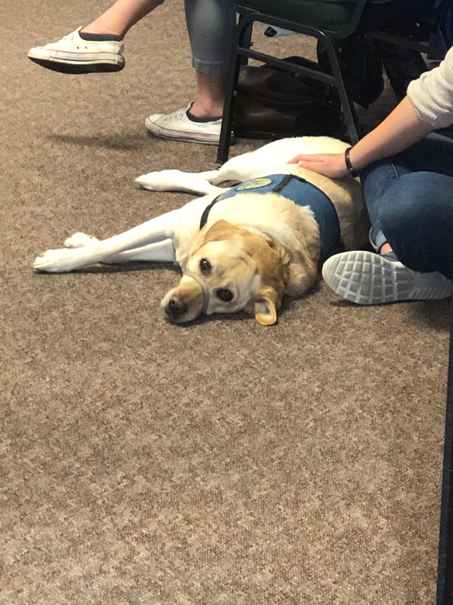 I’ve had fun, learned lots, but there was a lot of walking!  #NCACSympo