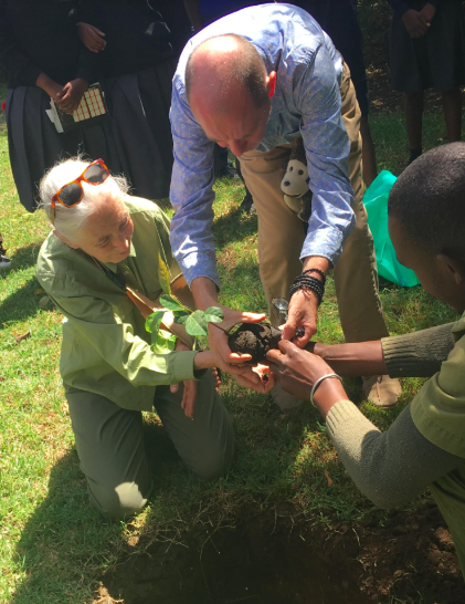 ArushaCoffLodge's tweet photo. As e celebrate the International Day of Forests today, we recall @Dr. Jane Goodall, who was recently here with at Elewana Arusha Coffee Lodge, and planted a tree with children from the neighbouring local schools. #IntlForestDay #elewanamoments https://t.co/pyfArtMbwy