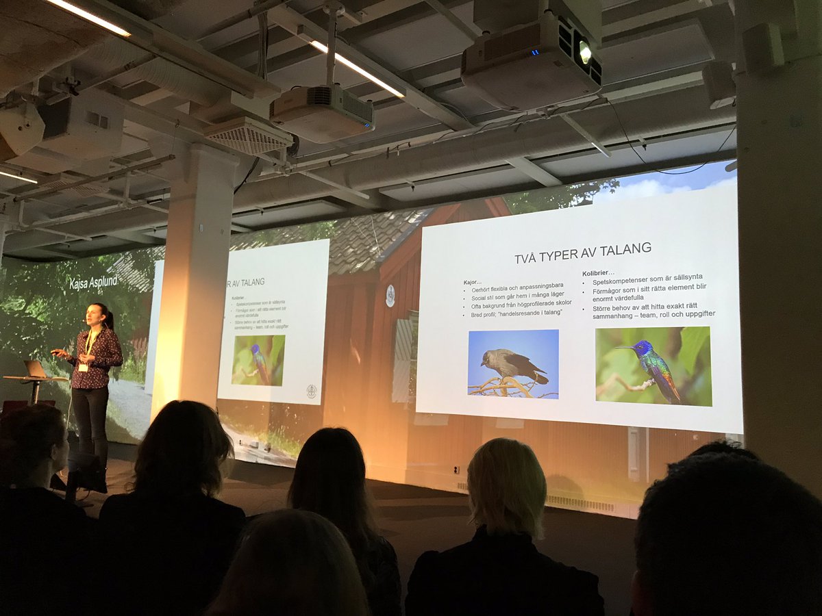 kdettner's tweet photo. Kajsa Asplund pratar om 2 typer av talanger. ”Kajor” och ”Kolibrier” #talentmanagement #hr #talentsummit #företagsuniversitetet https://t.co/jPTQ3HAeU4