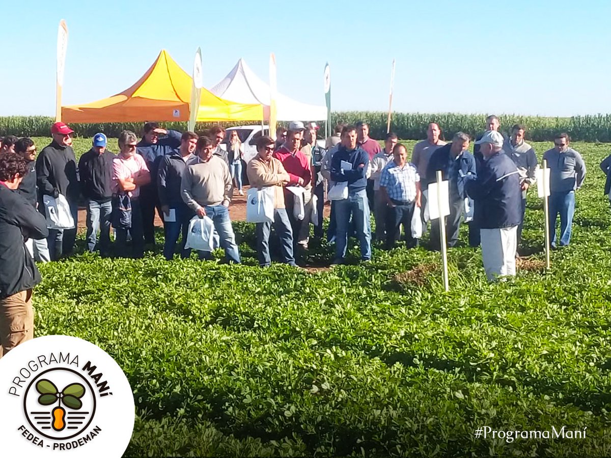 fedeaagro's tweet photo. 👉Nuevas Propuestas 👉Nuevos Servicios
#ProgramaMani #FedeaProdeman
.
Jornada a campo en Trilí #lapampa
✅Variedades
✅Tratamientos
✅Inoculación
@manikingoficial @Paulo_Antonucci @Gdcavigliasso https://t.co/PguY8rNw8s