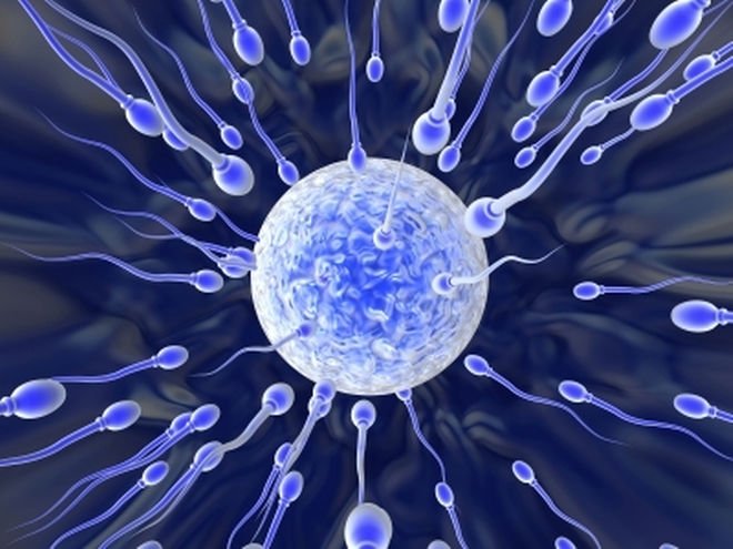 Sikipedia2's tweet photo. Kinsey Enstitüsüne göre, boşalma sırasındaki ortalama spermin hızı saatte 45 km. #cinsellik #cinsel #cinselbilgi #sperm #speedofsperm #hız #cinselperformans #cinselsağlık #sex #sexstatistics #wikipediaofsex https://t.co/LKTmYfurkL