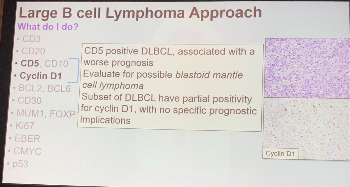 IHC approach to DLBCL: not only for diagnosis but also prognosis and therapy prediction