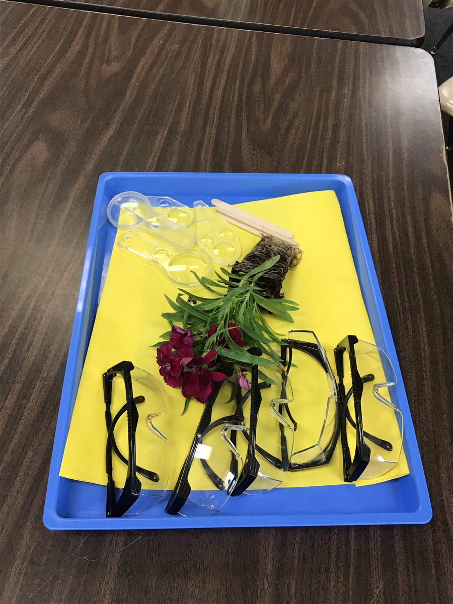 DeeMock's tweet photo. @CFISDScience @HorneElementary Learning about plant &amp; animal structures and function! Eco-columns fun! https://t.co/kjdGpTA3MG