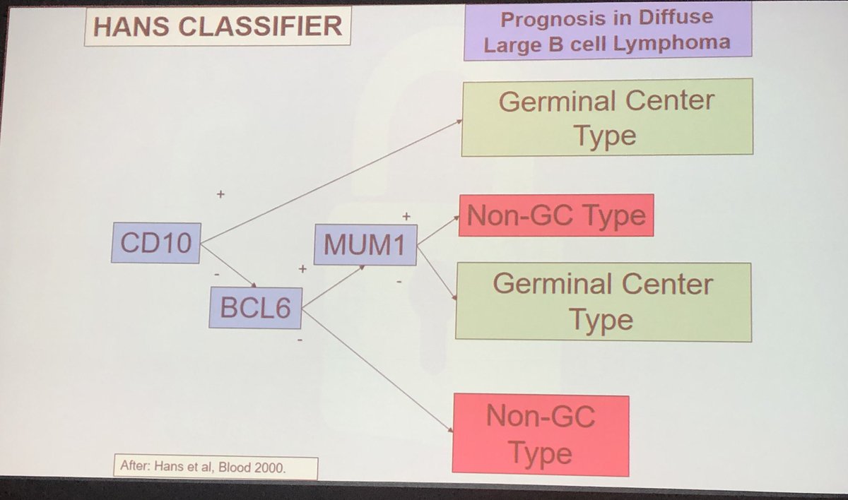 GC-B vs ABC DLBCL subtyping based on 2 different IHC algorithms