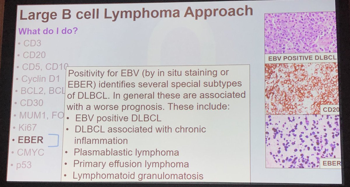 test for EBV by EBER ISH and not IHC