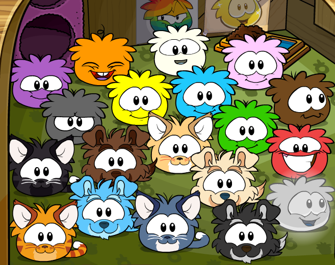 icedanx's tweet photo. ¿Nuevos compañeros? FUA increíble, ¡nuevos amigos puffles para todos! ¡Es hora de adoptar a todos! https://t.co/ByioLQIUci