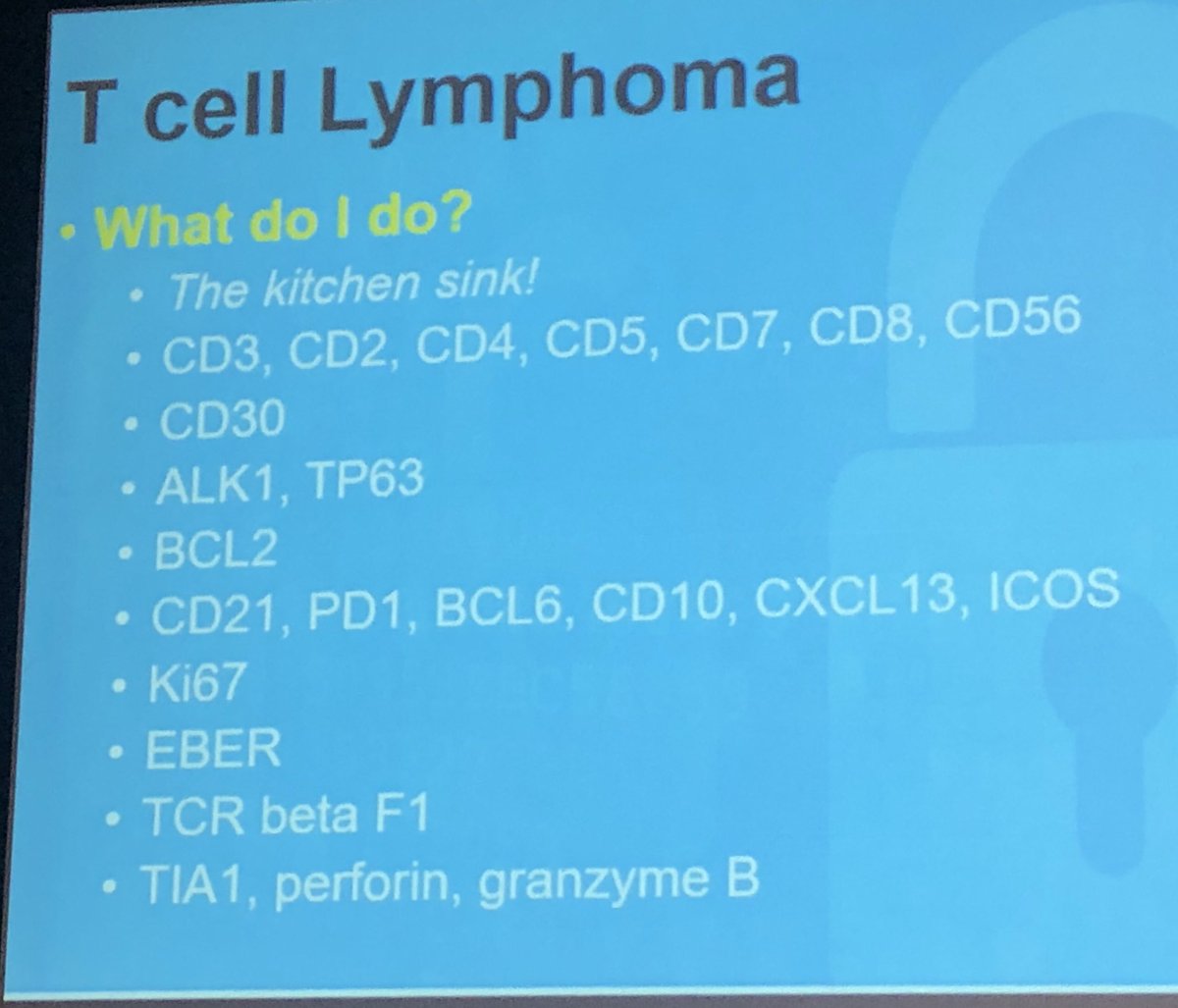 IHC approach to T cell lymphoma- difficult even for experts 