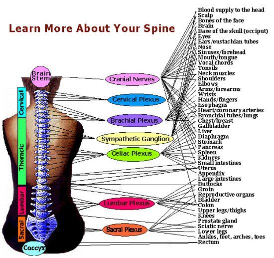 Blossom Chiropractic Office Blossomchiro Twitter
