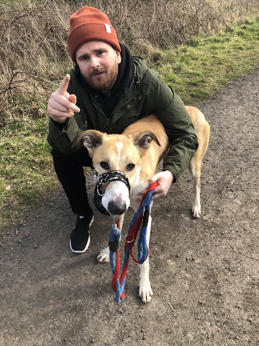 MichaelTully8's tweet photo. Had a great day #volunteering with @IanBurgess_Sage. #Dogs. Gotta love ‘em. 20k steps with some bonkers little fellas. Cheers @sagefoundation 👍 #CSR https://t.co/gyVhhxfcns