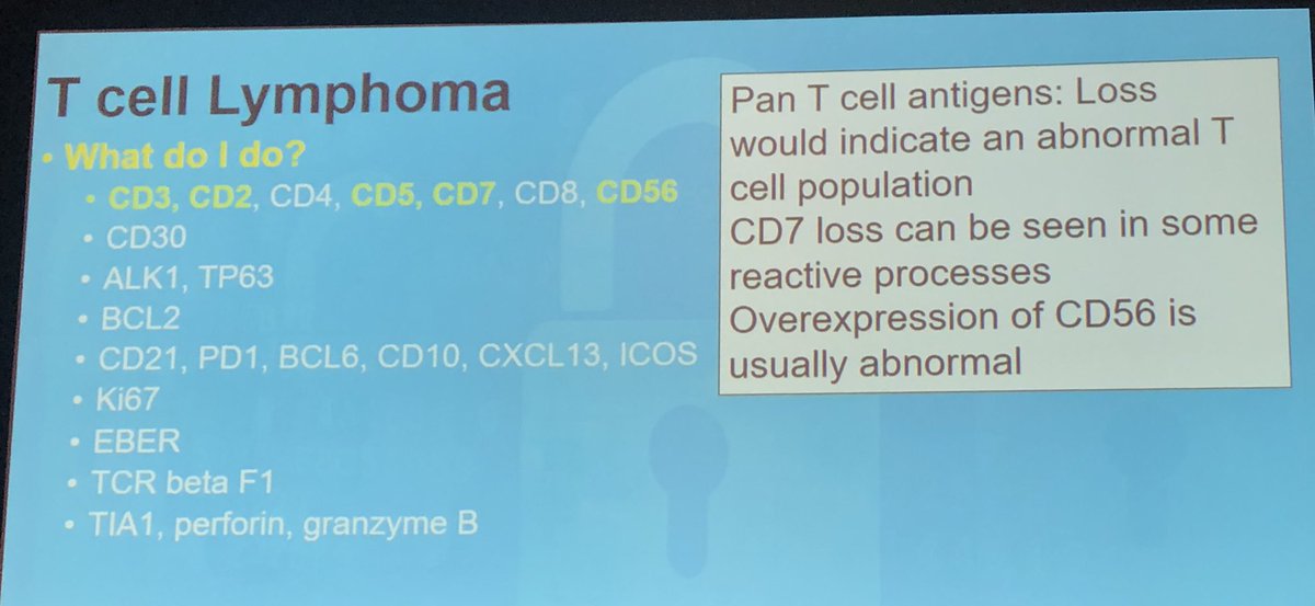 IHC approach to T cell lymphoma- difficult even for experts 