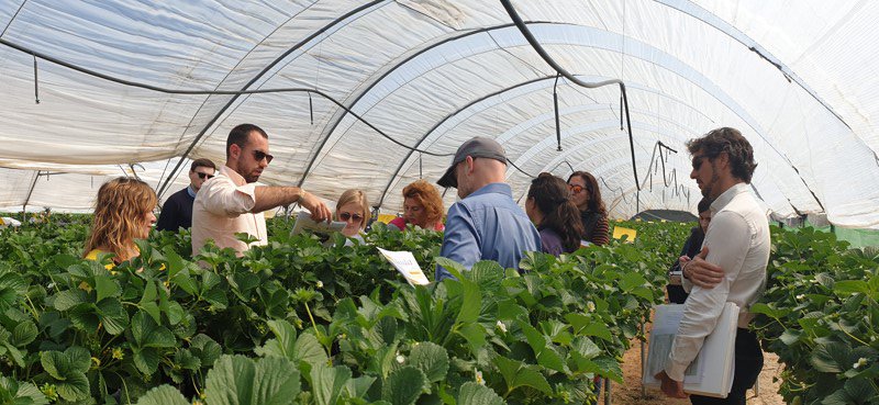 adesva's tweet photo. Un sistema experimental de #riego reduce un 28% el consumo de agua en el cultivo de #berries en Huelva https://t.co/u7QF7FLpeR @ferdonana @CocaColaCo_es https://t.co/unw4KYXGP4