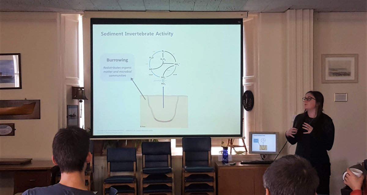 CosZan's tweet image. Great talk from @harrietdale18 at @thembauk this afternoon! 
Very cool to have a peek on what happens when #Nitrogen cycling #MicrobialCommunities studies meet sediment #ecology !