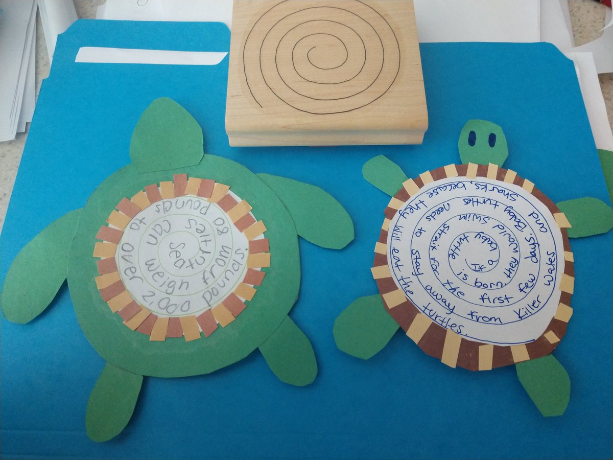 JenCorley1's tweet photo. Limiting Factors Sea Turtle Challenge @pelion_middle #pantherprowl #science #saveaseaturtle #tonsoffun #weleadtheway https://t.co/6UY7zsJesj