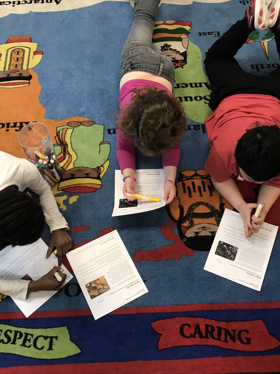 MrWebers_Class's tweet photo. Combining science with research clubs for ELA. Crayfish research! https://t.co/OXMZSHHgFH
