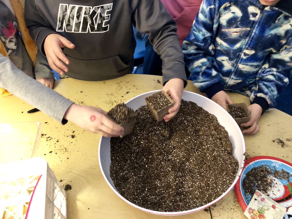 MrsMillerMama's tweet photo. Happy Spring and Happy National Plant-a-seed day! #kseis #kseinnov8 https://t.co/AEOjoaSShz