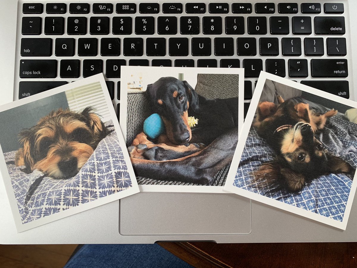cassjack12's tweet photo. Doesn’t get much better than this 🥰 Thanks, @ArtifactUprsng. https://t.co/MoMF0YiNen