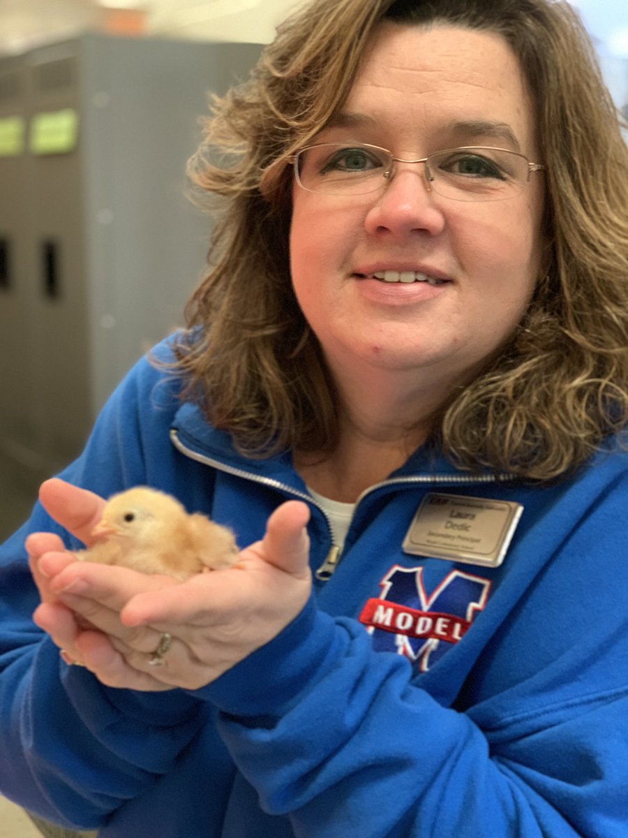 ModelLabDedic's tweet photo. It’s always a great day @EKUModel when you get to hold baby chickens that hatched this week! #ELScience #WishIhadaFarm https://t.co/2xY75LnK00