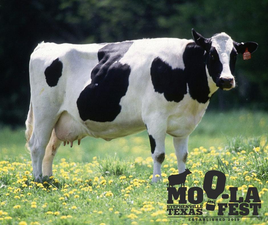 Mark your calendar for the first annual Moo-La Fest! Stephenville City Park May 30-June 1! Hot air balloons, food vendors, live music, artisan cheese and wine pairings, kid zone and MORE! Special thanks to our sponsors for your support! 🎼🌟🐮🎈🧀🍷🎊