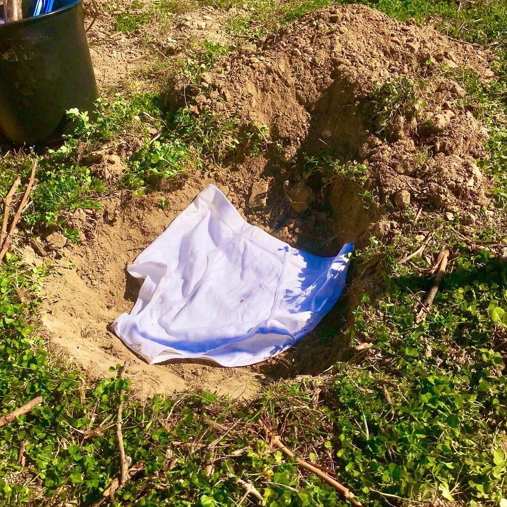 DeFavas's tweet photo. #Underpant in the vineyard of #domainedefavas #SouthOfFrance ! This afternoon we buried 3 cottons #underpants in a vine row cover of 🍀 to measure the biological activity of our soil + soil analysis. Next step in 2 months with the exhumation and results #organicwine #Biodiversity https://t.co/YtcNOVFpKc