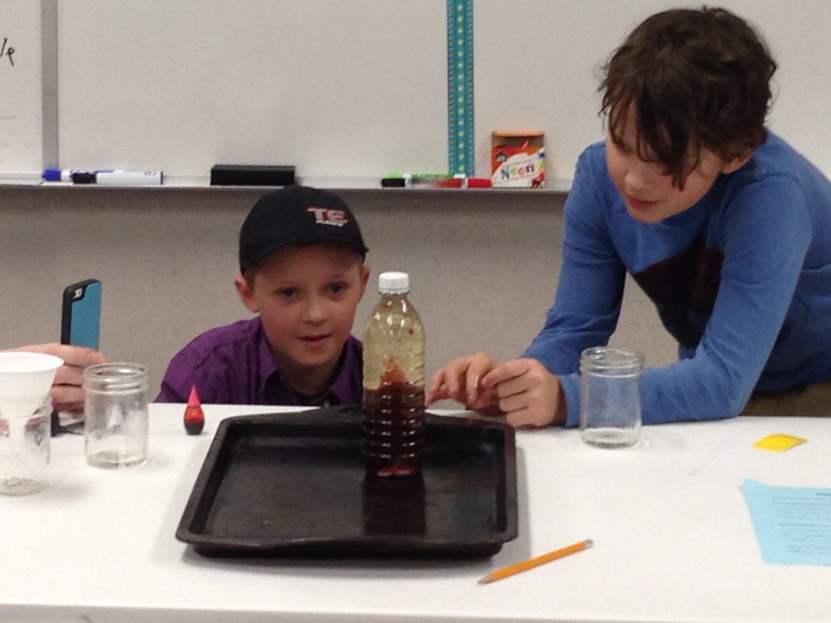 Consort School tweet media