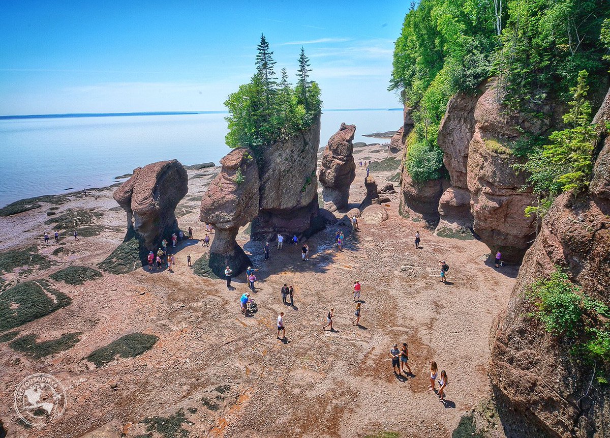 RT if you plan on attending the #SPN 2019 #NationalChampionships!
.
Moncton, N.B's largest city, is 1 of 5 places you could be going this August! Play ball and visit the beautiful Hopewell Rocks! What more could you want?
.
Click here bit.ly/2UOAnDx
.
#justplayslopitch