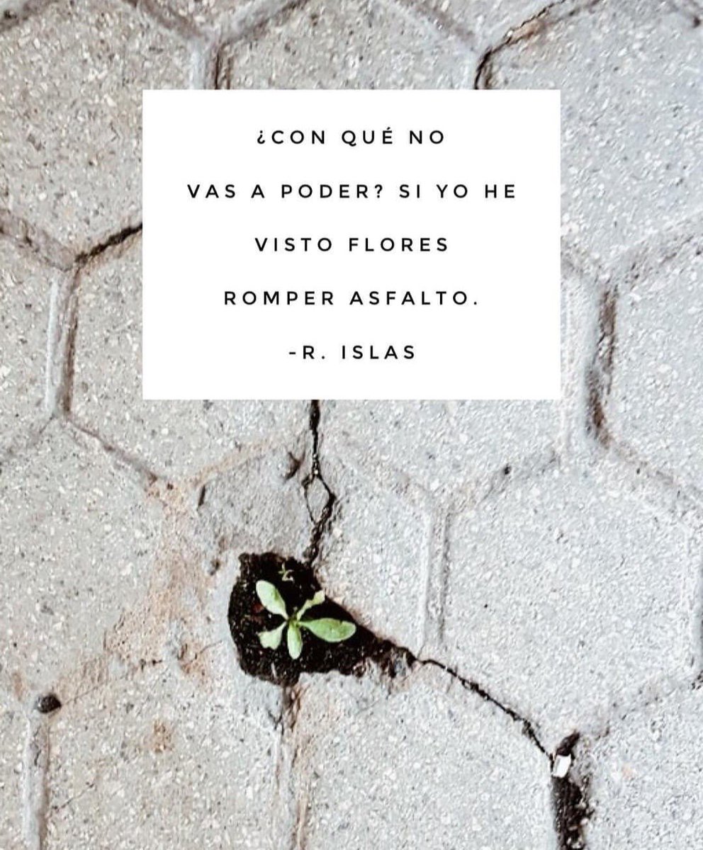 GabyCastroM's tweet photo. Will be? https://t.co/2smCBiOf7M