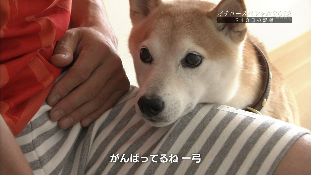 一弓 Twitter Search Twitter
