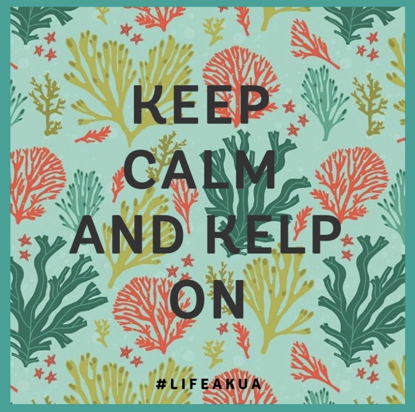 lifeakua's tweet photo. Keep calm and kelp on! 💪🌾🌊 #lifeakua #kelpqueens #kelpyeah
Design by: @sannhe https://t.co/rSQBREeEn2