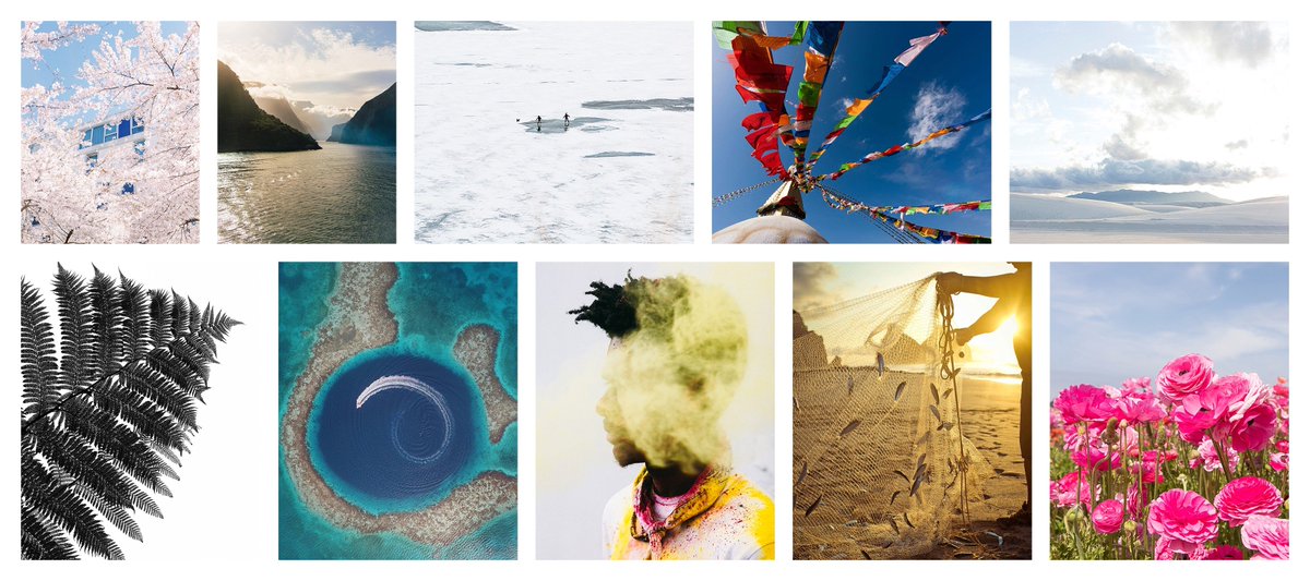 hellopoe's tweet image. A PRINT SALE FOR NEW ZEALAND

After the terror attack in NZ last Friday, we are offering a series of prints for sale to benefit the Muslim community who have been affected by this terrible act. We hope you will purchase a print &amp;amp; support those in need &amp;lt;3

adriennepitts.com/printsfornz