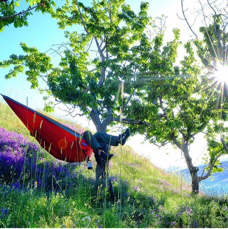 Kinnucan's tweet media