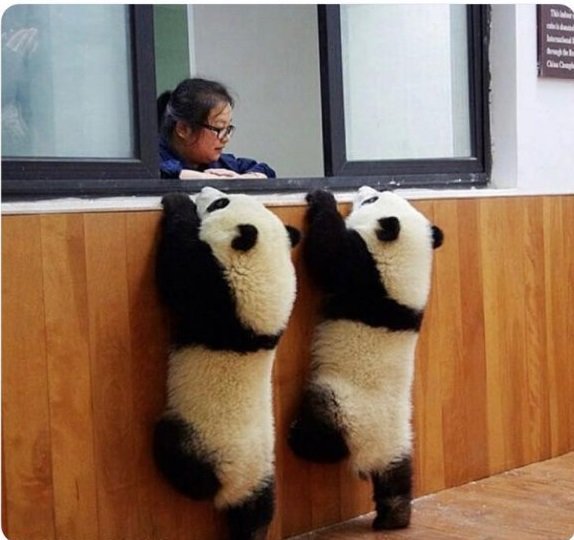 - Dos billetes Pandalucía 🚄