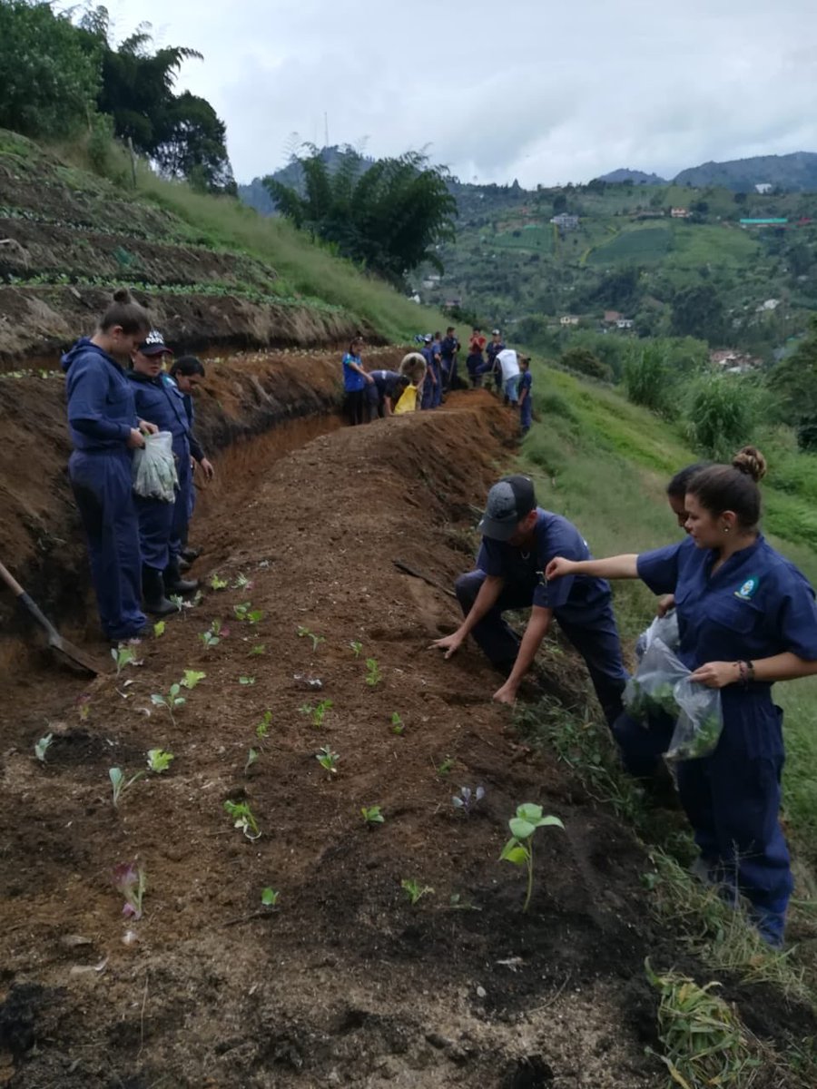 RuralCongreso's tweet photo. #NuestrasVoces |Jairo Lozano - Continuamos la apuesta de transformación del territorio con apuesta #agroecológica #Antioquia #Coredi https://t.co/V2IgopHZkk