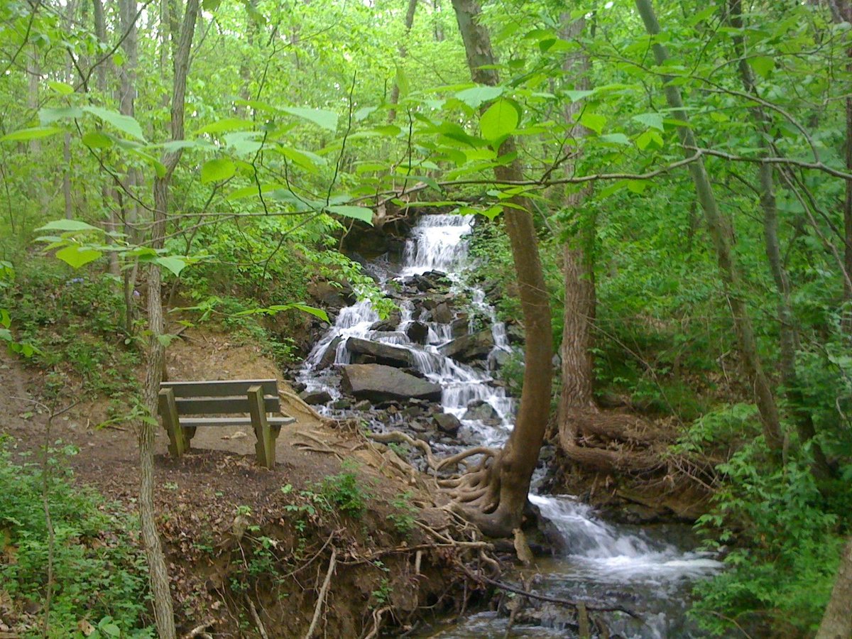 LivehomeRoom's tweet photo. SPRING IS ALMOST HERE, Kansas City! You and your roommates can catch the budding trees and fresh air on the White Tail Trail, just 15 minutes north of Downtown, in Parkville, MO. #trailfeature #hikingKC #spring #socialkc #colivingkc #roommates #kcmo #wildflowers #waterfalls https://t.co/Y1BUopqFHu