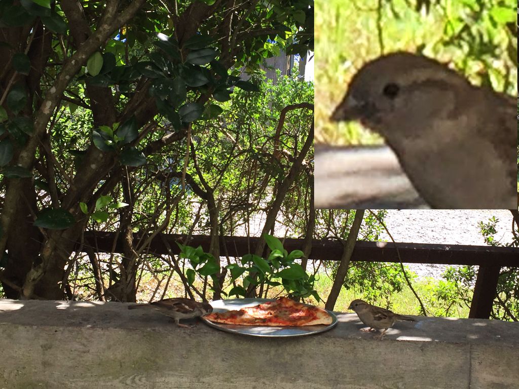 when your friend's slice comes out first