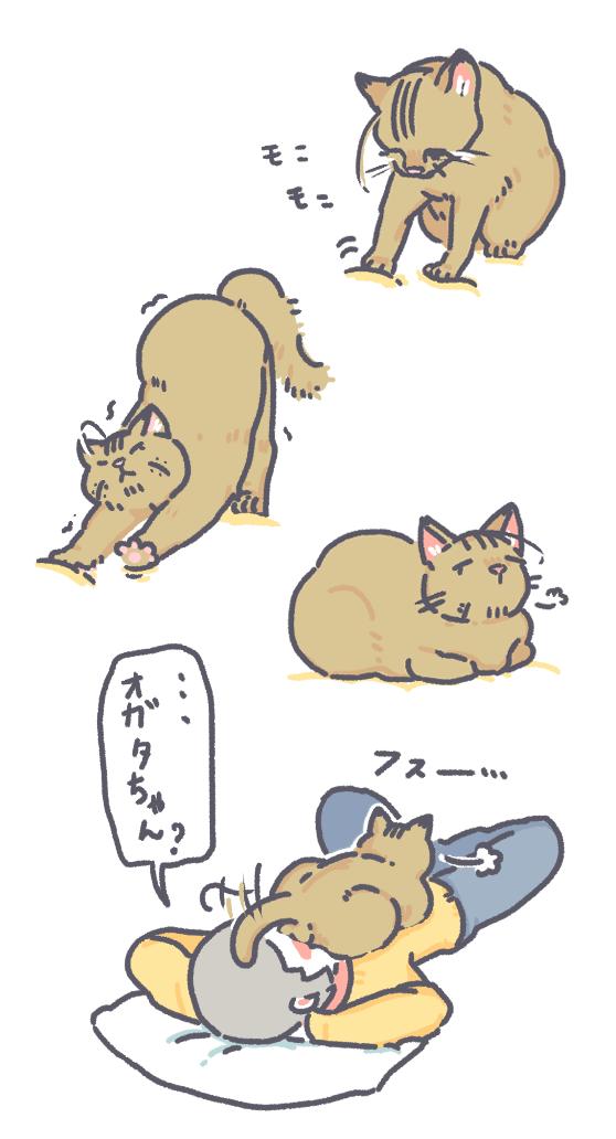 尾ネコさんとシライシ 