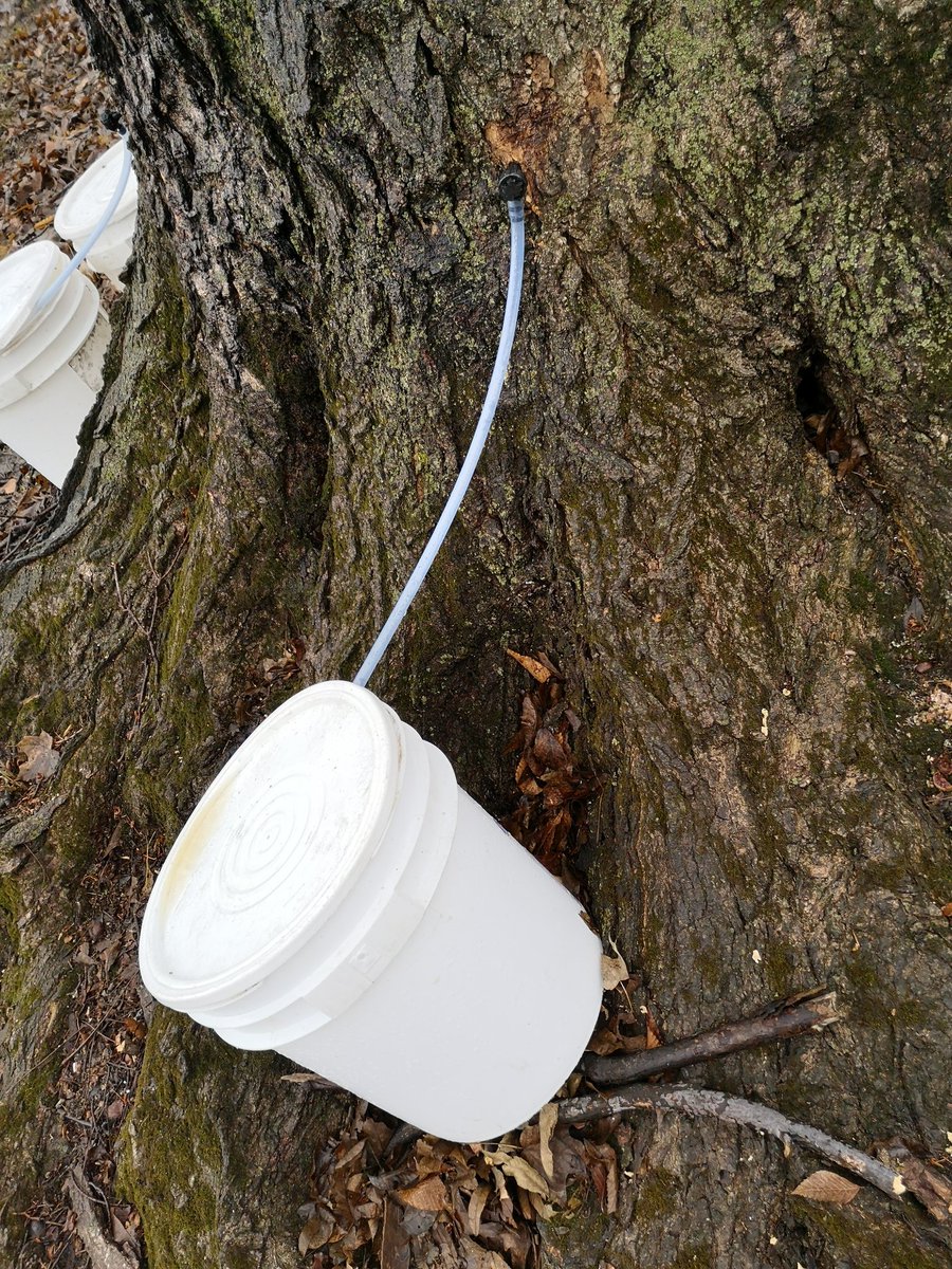 The water is running, the sap is running - make sure your equipment is! #firstdayofspring <a href="/EquipmentTurf/">Complete Turf Equipment</a> <a href="/rrproductsinc/">R&R Products Inc</a>