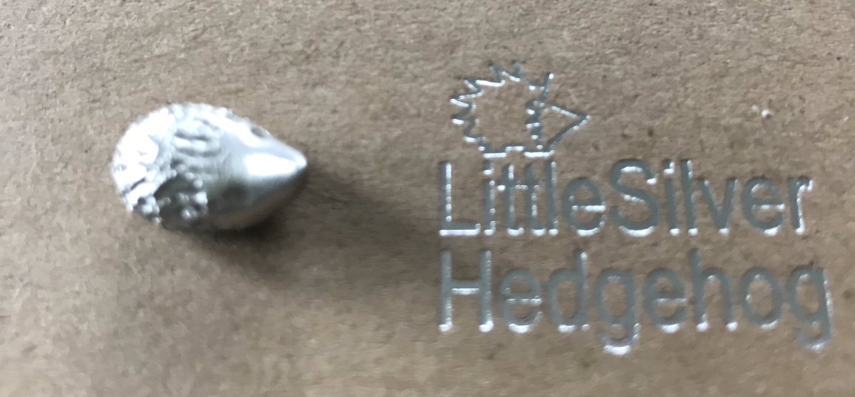 annodo2010's tweet image. Gifted this yesterday. Such a small &amp;amp; beautiful creation. Thank you so much @littlesilverhog . To get the name on the bottom was so clever as well. I also love it comes with an adoption certificate :-) #hedgehog #smallbutbeautiful